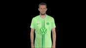 Bundesliga No GIF by VfL Wolfsburg