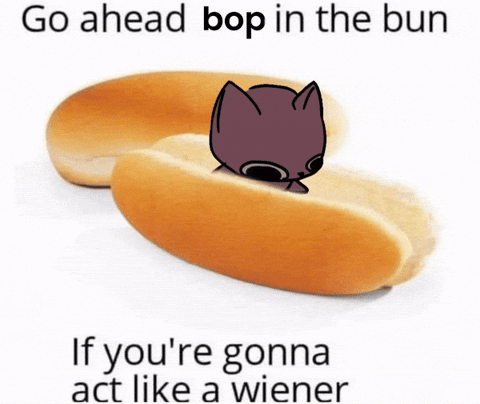 Cat Bop GIF