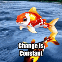 Wisdom Adaptability GIF by TheConfishius