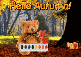Trick Or Treat Halloween GIF