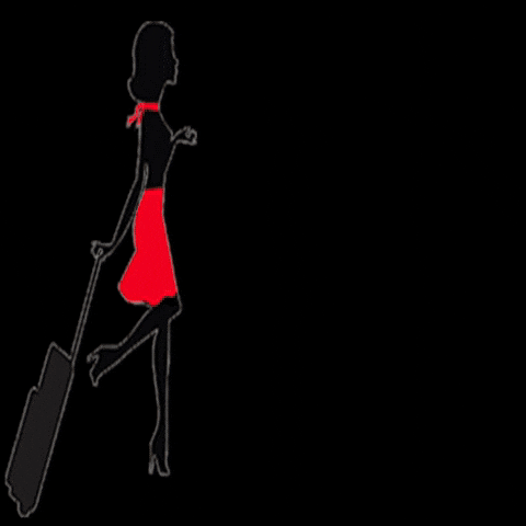 TheTravelExpert tte time to fly the travel expert thetravelexpert GIF