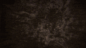 cherub GIF by Columbia Records
