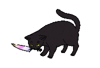 Blkmagiccat black cat magic cat blk magic cat blkmagiccat Sticker