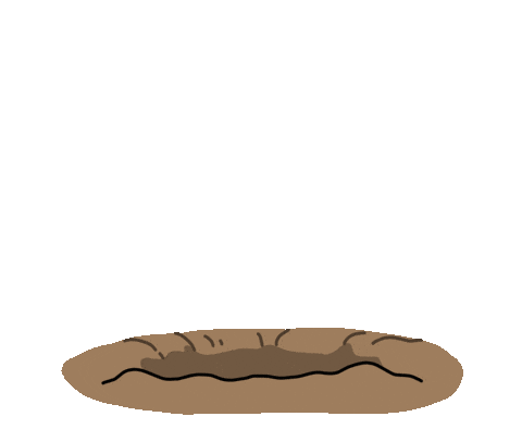 New Year Pink Sticker