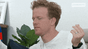 Adam Watching Tv GIF by Gogglebox Australia