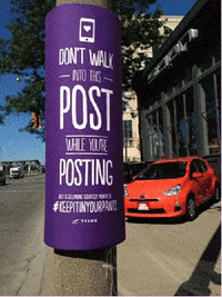 pole GIF