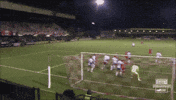 Celebration Goal GIF by Cliftonville Football Club