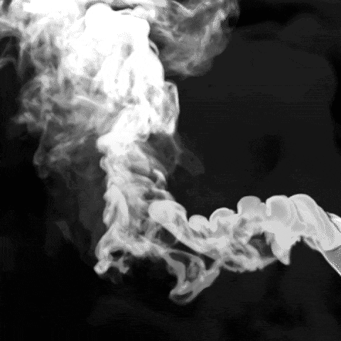 kieranpavel giphyupload GIF