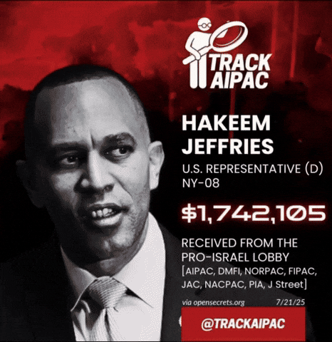 Speaker Of The House Israel GIF by Respective