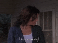 season 4 netflix GIF by Gilmore Girls 