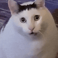 Pondphuwin GIF