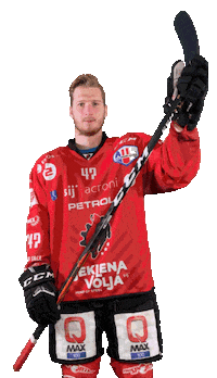 Hockey Steelers Sticker by HDD SIJ Acroni Jesenice
