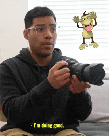 pacito4l giphyattribution giphycreatortest udy GIF