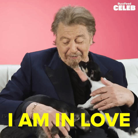 Pacino In Love With Puppies