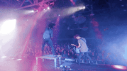 rock concert GIF by Mayday Parade