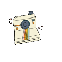 Summer Flowers Sticker by Waavmakers