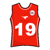 mustangsnl flagfootball tochito ifaf fmfa Sticker