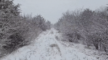 Snow Whitens 'Pristine Wilderness' in East Illinois