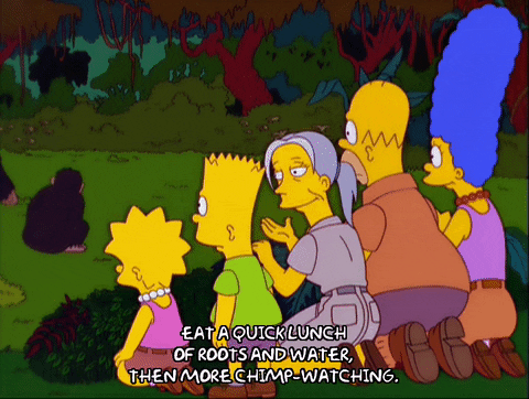 homer simpson GIF