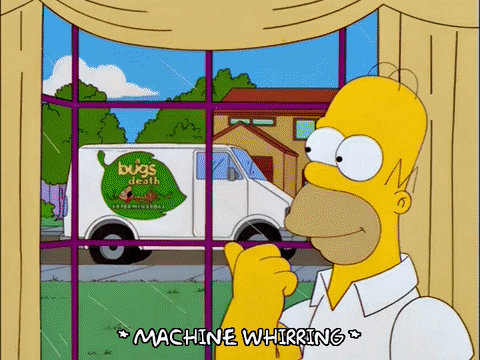 Lisa Simpson GIF by The Simpsons
