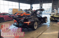 Steve Hamilton GIF by TheHamiltonCollection