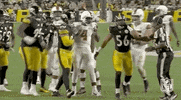 Regular Season Football GIF by NFL