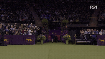 2020 Best In Show