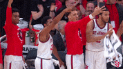 St Johns Sjubb GIF by St. John's Red Storm