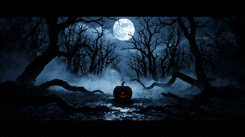 Trick Or Treat Halloween GIF