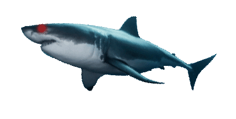 dwight_rawson giphyupload dwightrawson Sticker