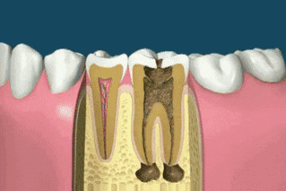 looks canal GIF by Cheezburger