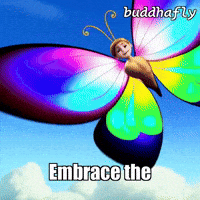 Joy Sky GIF by BuddhaFlyJourney