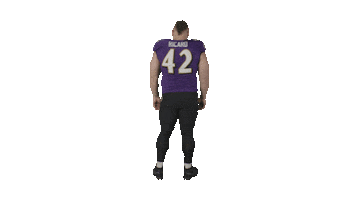 Football Nfl Sticker by autumnlakehealthcare