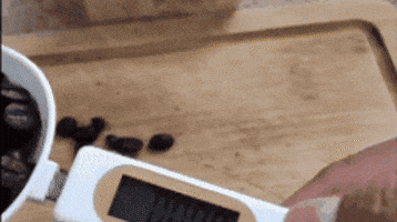 LKPM giphygifmaker GIF