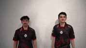 League Of Legends Lol GIF by G2 Esports
