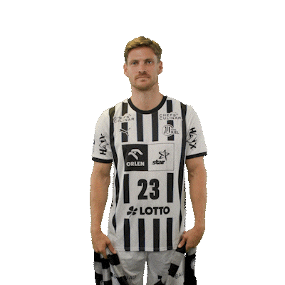 Handball Kiel Sticker by DAIKIN HBL
