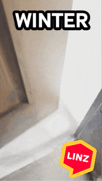 Snow Wow GIF by Linz News