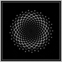 Mesmerizing Black And White GIF by xponentialdesign