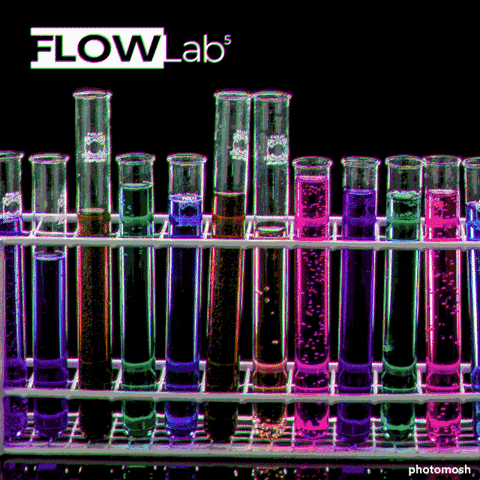 infodumpster_fire giphyupload pride flowlab5 GIF