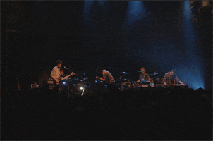 passion pit concert GIF by hateplow