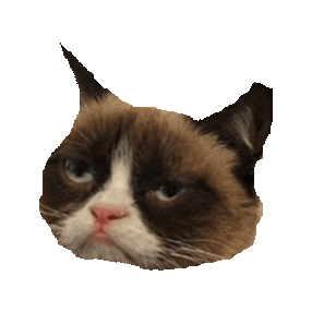 i dont care STICKER by imoji