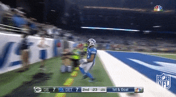 Detroit Lions Football GIF by NFL