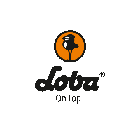 Oil Finish Sticker by Loba