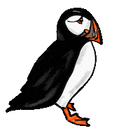 Puffin Sticker by girlinwhiteglasses