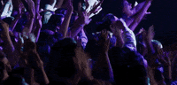 luis miguel GIF by netflixlat