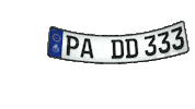 Plate Carbon Sticker by 3D Kennzeichen