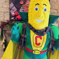 Captaincornelius GIF by IL Corn