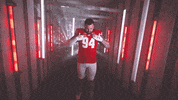 Football Brush Off GIF by Wisconsin Badgers