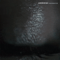 High School Film GIF by Arrow Video