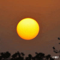 sun egg GIF by GoPop